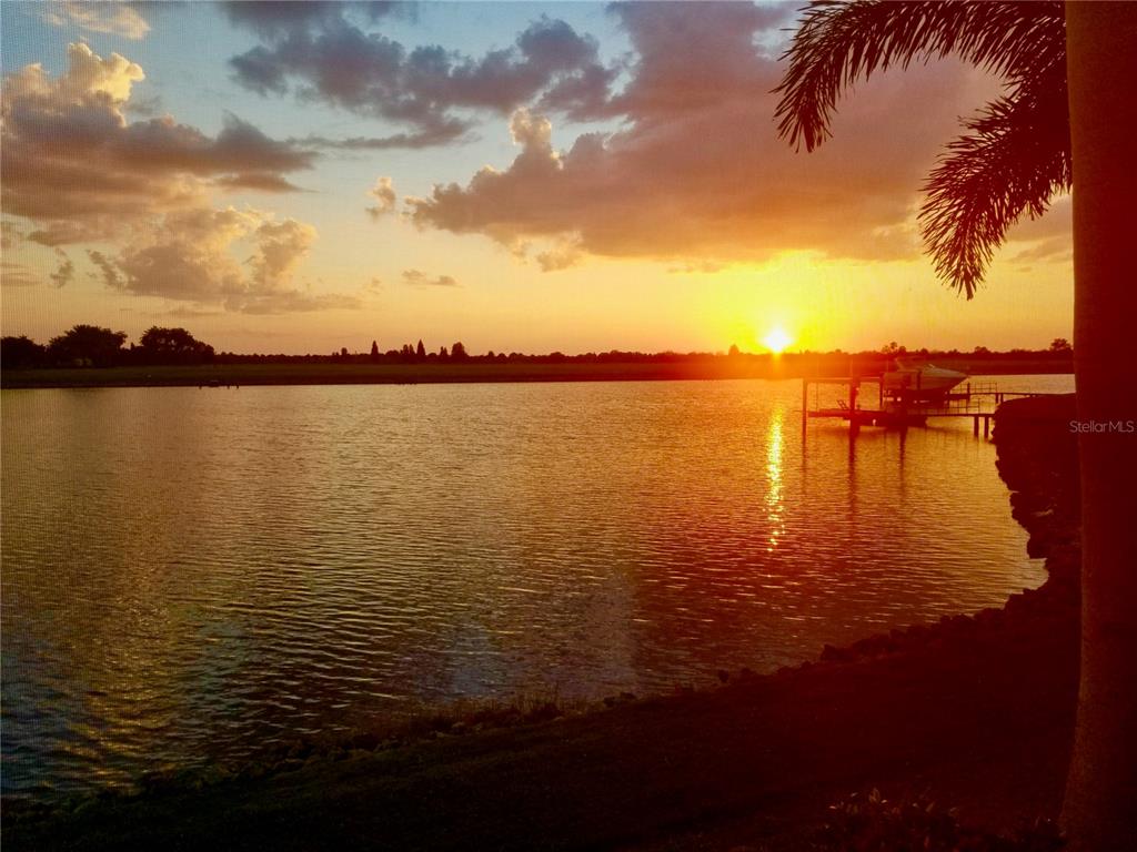 624 Balibay Road Apollo Beach, FL 33572 - Photo 8 of 99
