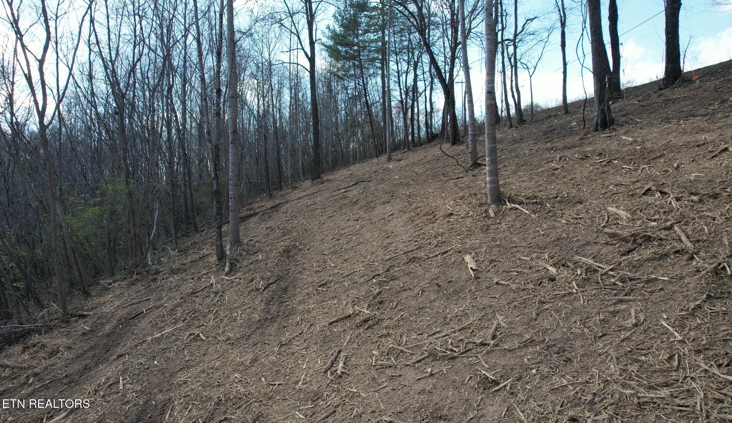 4160 Demory Road La Follette, TN 37766 - Photo 11 of 34 Demory Turkey Cove