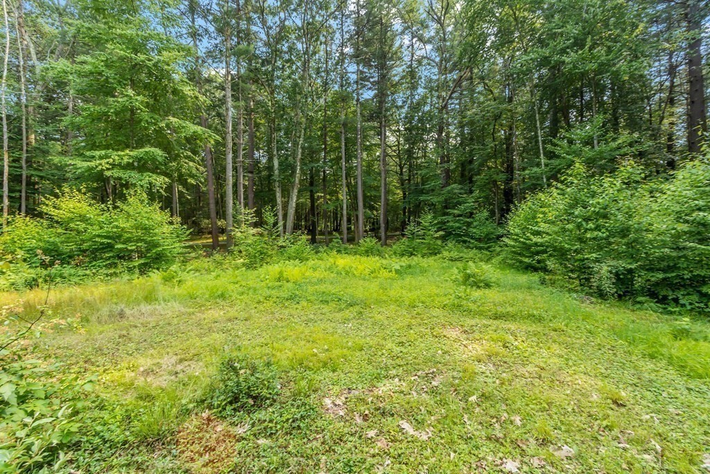 237 Stoney Gate Carlisle, MA 01741 - Photo 34 of 35 a view of outdoor space with a garden