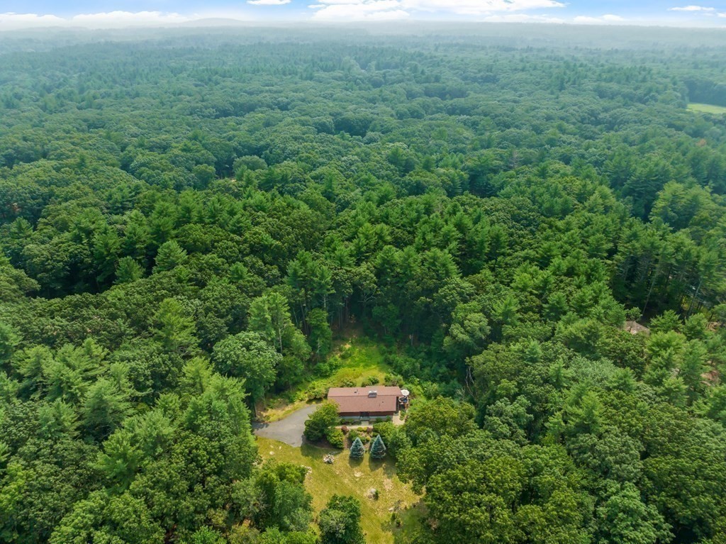 237 Stoney Gate Carlisle, MA 01741 - Photo 35 of 35 a view of a garden with an outdoor space