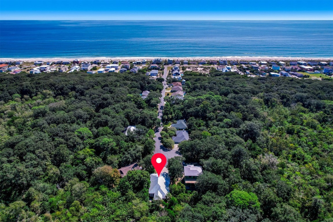2629 Racheal Avenue Fernandina Beach, FL 32034 - Photo 34 of 53 a view of a lush green forest