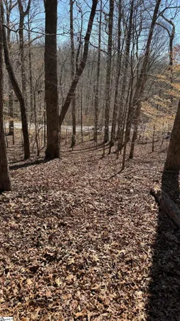 $375,000 | Undisclosed Address, Fair Play, SC 29643