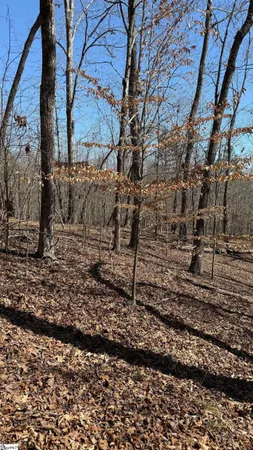$375,000 | Undisclosed Address, Fair Play, SC 29643