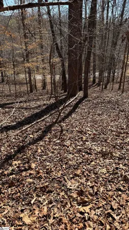$375,000 | Undisclosed Address, Fair Play, SC 29643