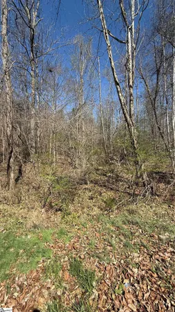 $375,000 | Undisclosed Address, Fair Play, SC 29643