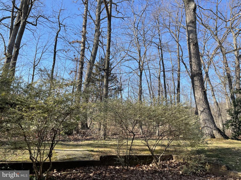2146 Cartwright Place Reston, VA 20191 - Photo 4 of 4 Gallery Image 4
