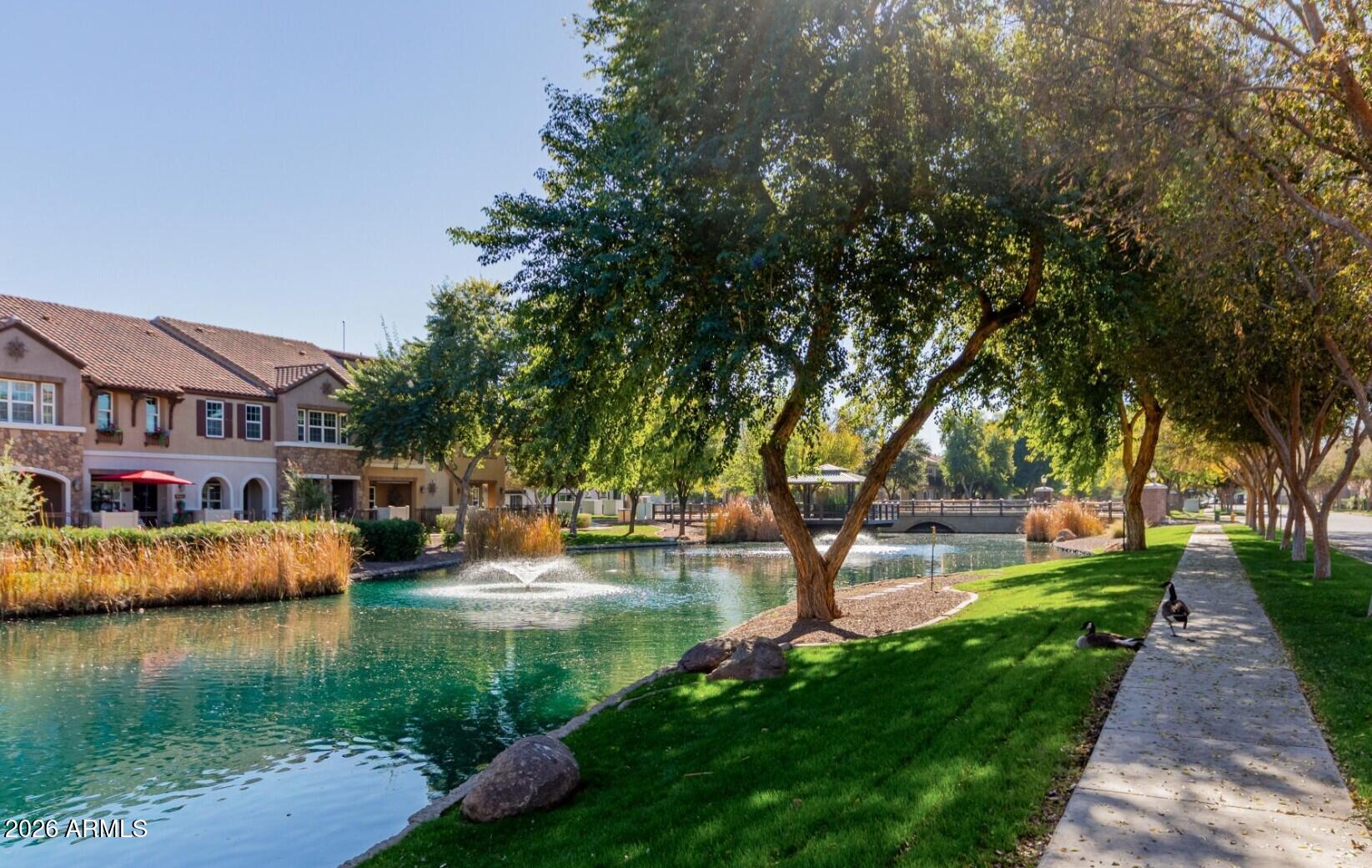 1821 East Bernie Lane, Unit 103 Gilbert, AZ 85295 - Photo 25 of 57 Annecy lakes and walkways