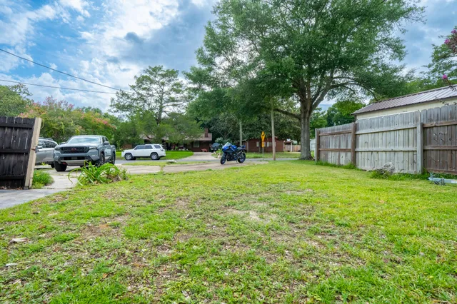 a view of a park with large trees