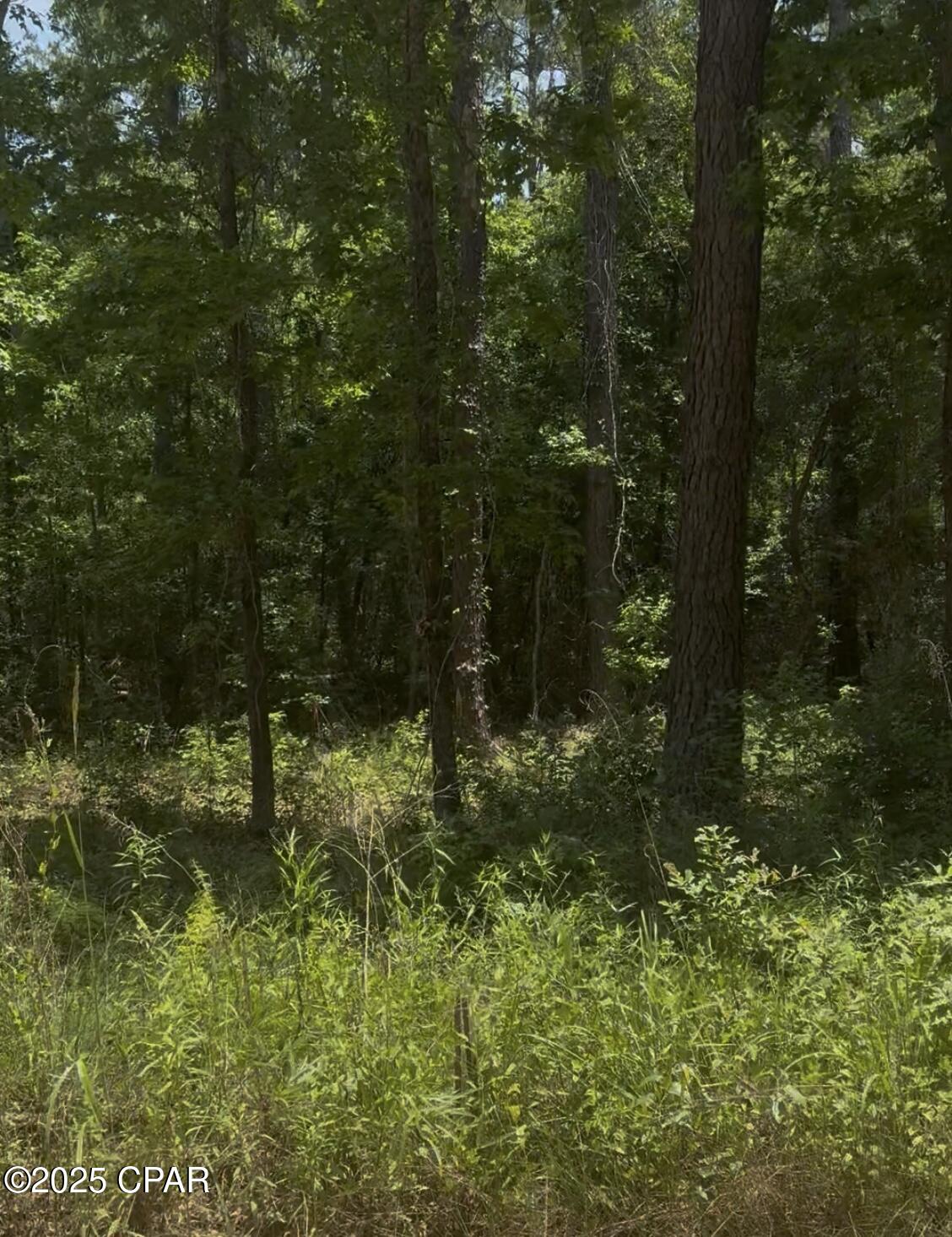 Xxx Ben Road, Unit 32428 Chipley, FL 32428 - Photo 1 of 2