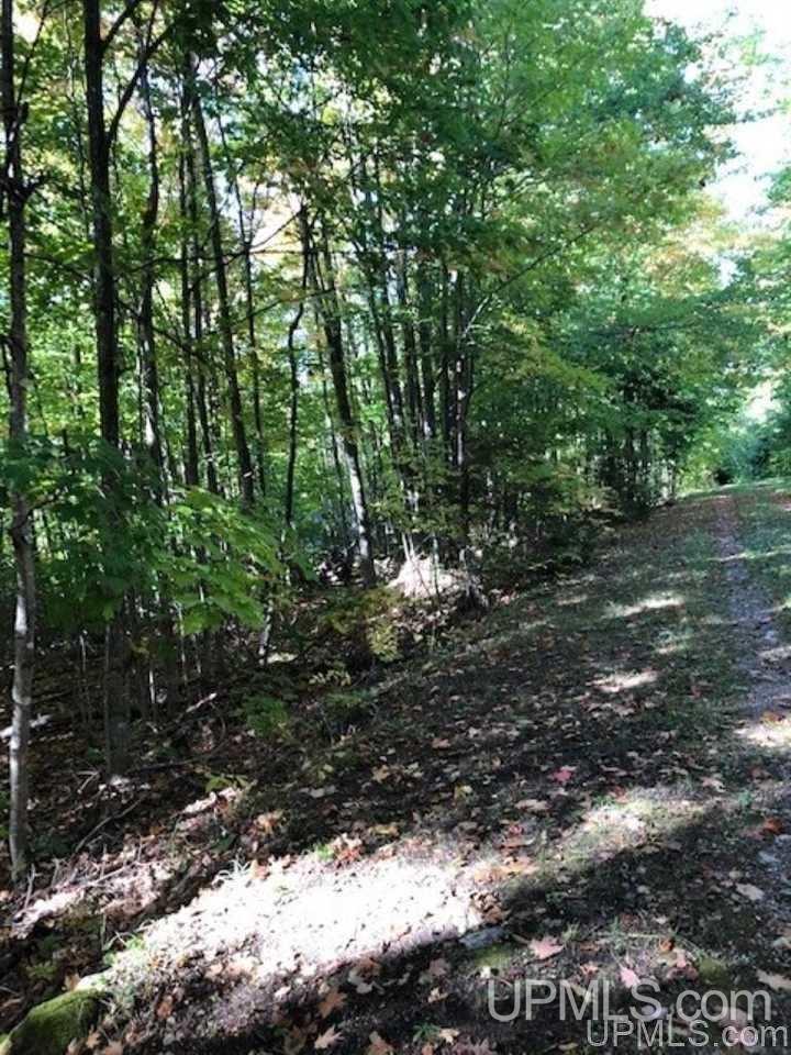 Tbd Koski Road Munising, MI 49862 - Photo 9 of 17