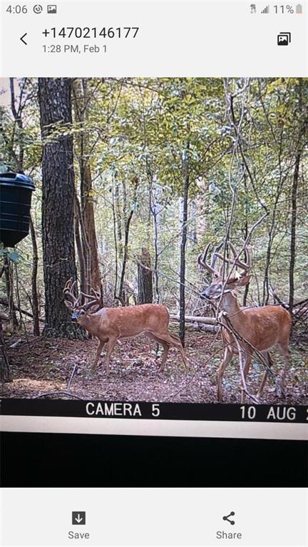 1217 Youngs Farm Road Cedartown, GA 30125 - Photo 29 of 29 a view of a park
