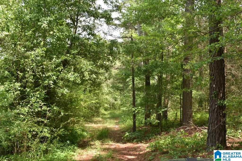 432 County Road, Unit 6A Woodland, AL 36280 - Photo 7 of 8