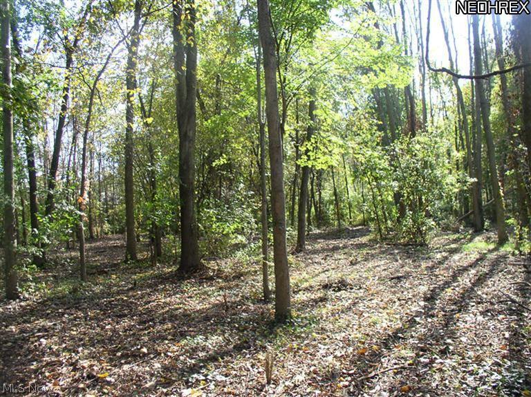 43725 Middle Ridge Road Lorain, OH 44053 - Photo 6 of 25 Walk many trails for exercise