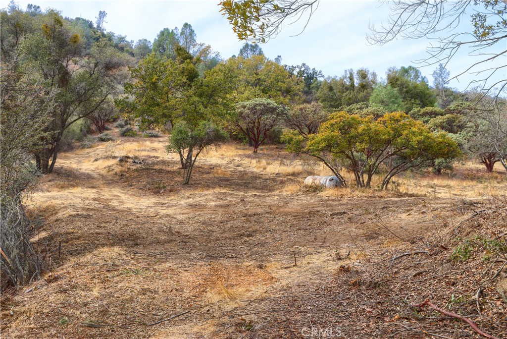 2 Stillmeadow Lane Oakhurst, CA 93644 - Photo 4 of 24