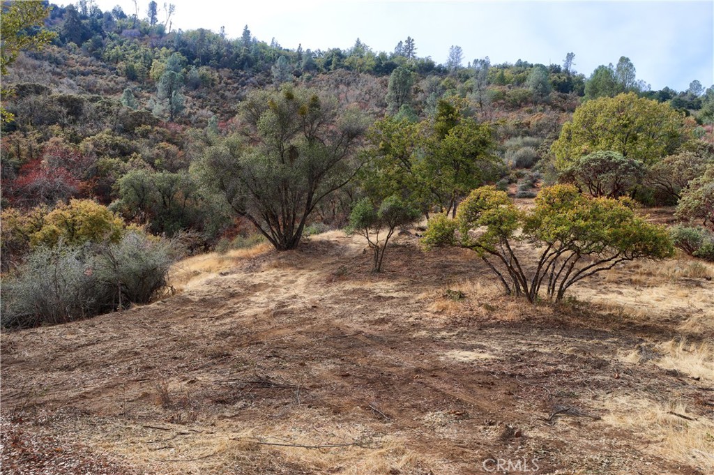 2 Stillmeadow Lane Oakhurst, CA 93644 - Photo 8 of 24