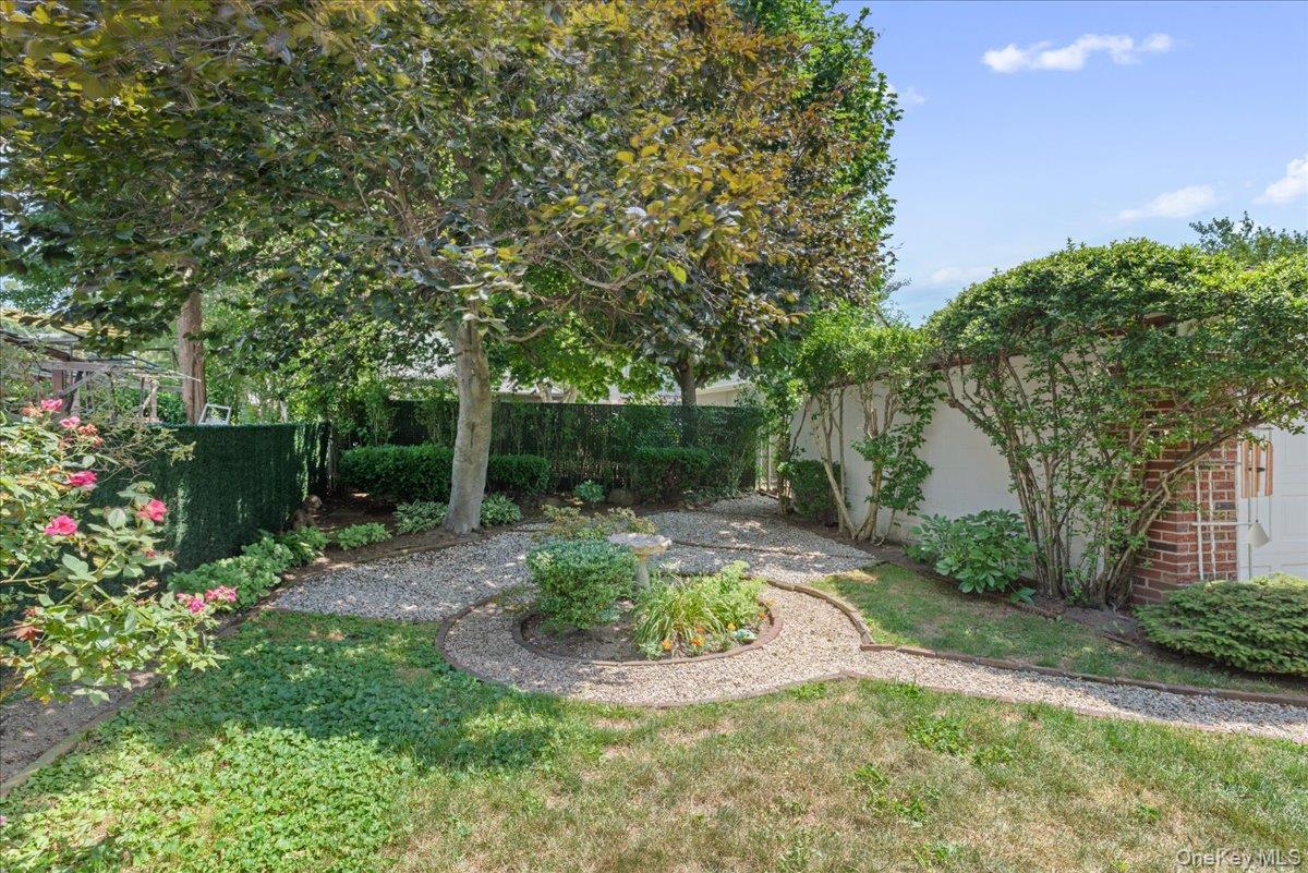 183-41 Dalny Road Queens, NY 11432 - Photo 26 of 31 a view of a garden with potted plants and large trees