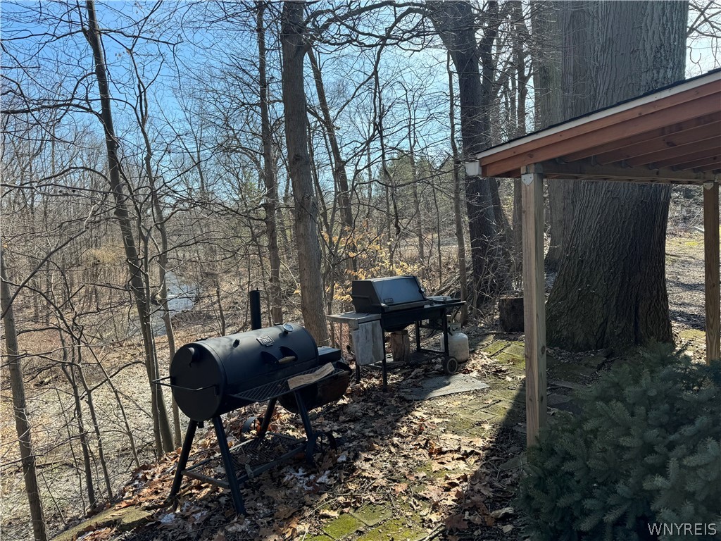 6668 Milestrip Road Orchard Park, NY 14127 - Photo 26 of 30 Incredible spot to barbecue!