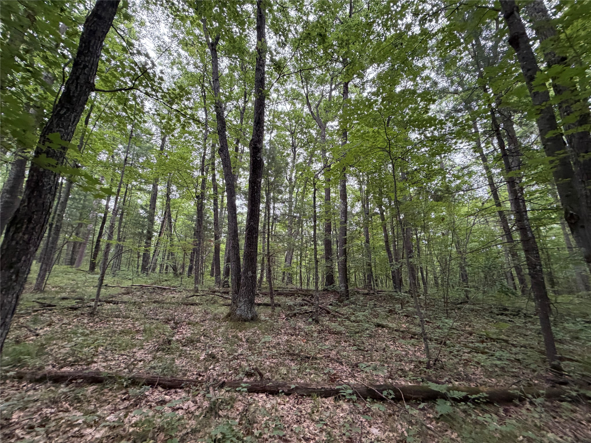 Lot 1 Nor Wis Road North Hayward, WI 54843 - Photo 26 of 37