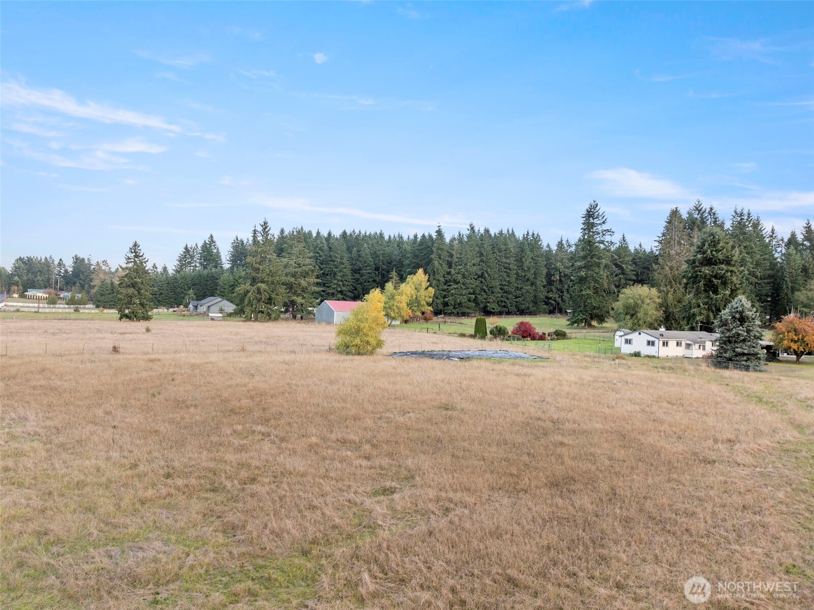 450 Hawkins Road Winlock, WA 98596 - Photo 30 of 40 a view of roadside with trees