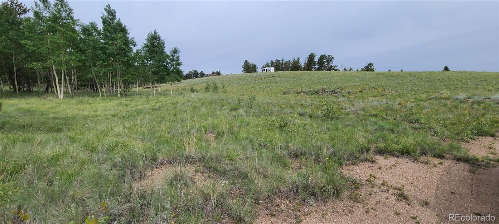 9583 Ranch Road Hartsel, CO 80449 - Photo 12 of 28 Gallery Image 12