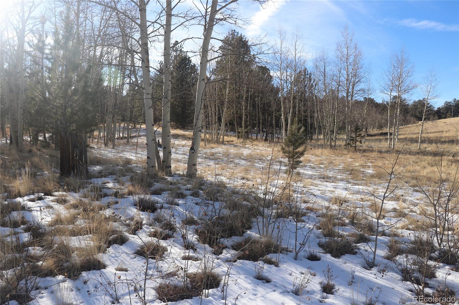 9583 Ranch Road Hartsel, CO 80449 - Photo 13 of 28 Gallery Image 13