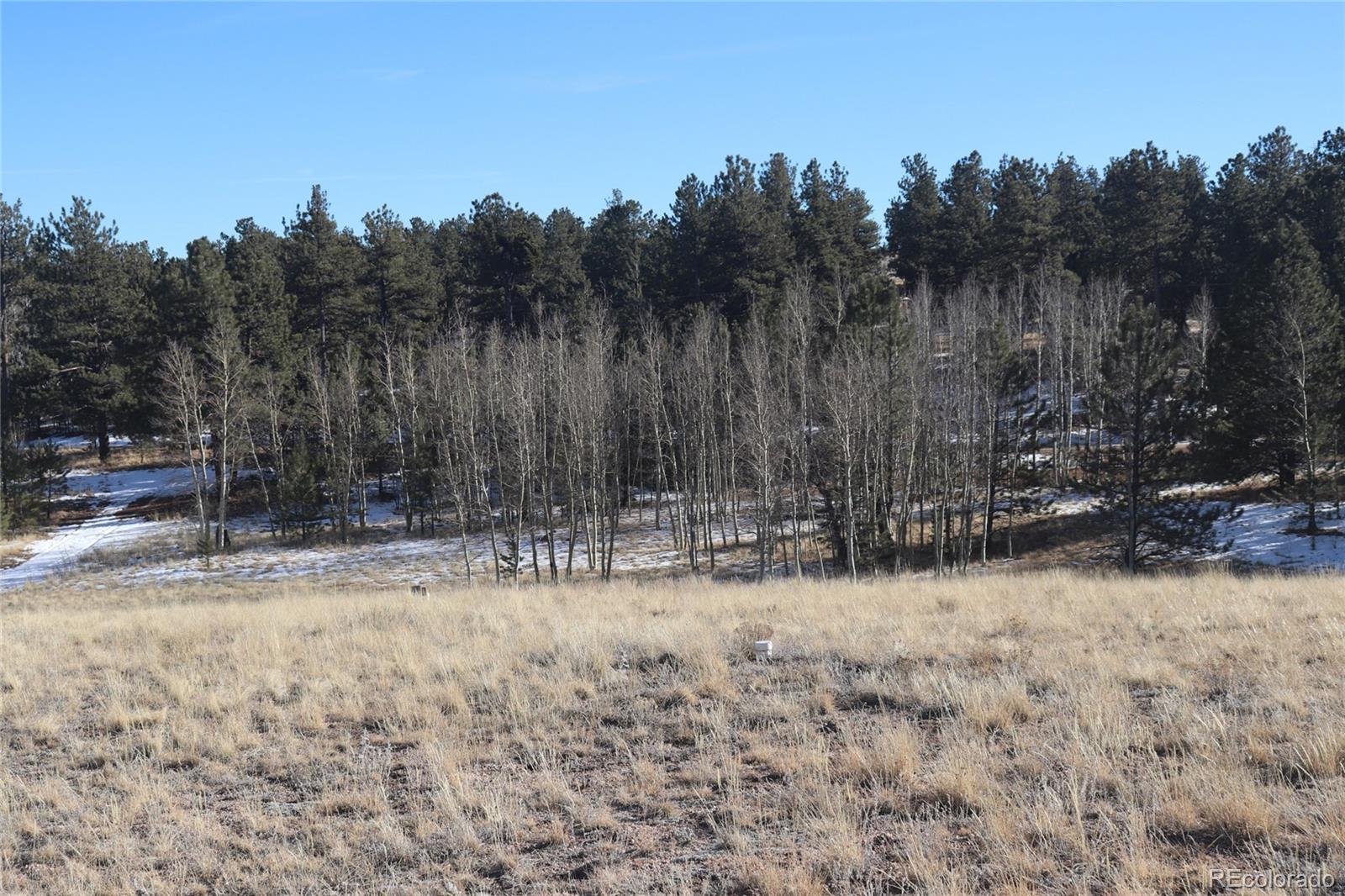 9583 Ranch Road Hartsel, CO 80449 - Photo 15 of 28 Gallery Image 15