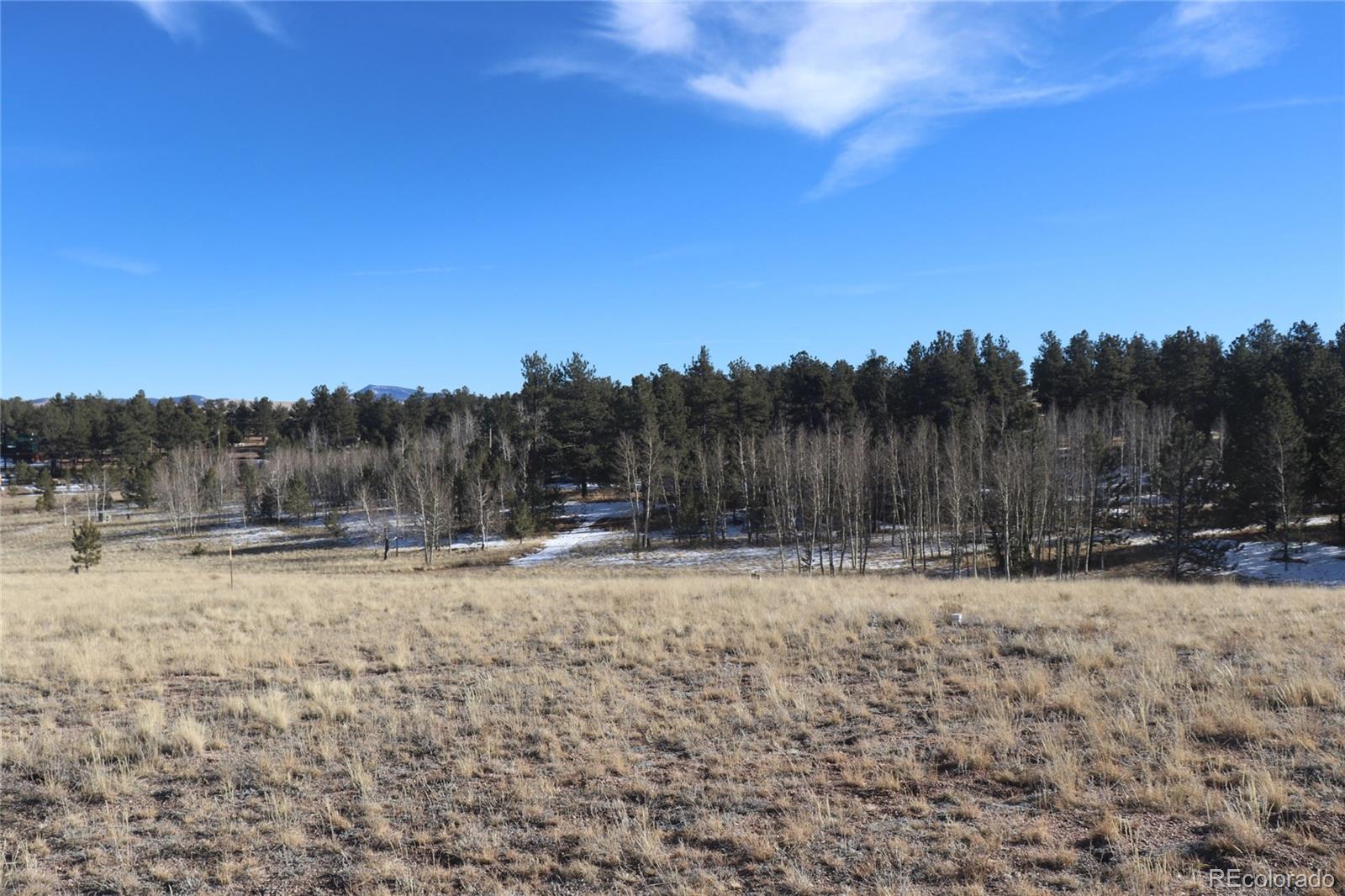 9583 Ranch Road Hartsel, CO 80449 - Photo 16 of 28 Gallery Image 16