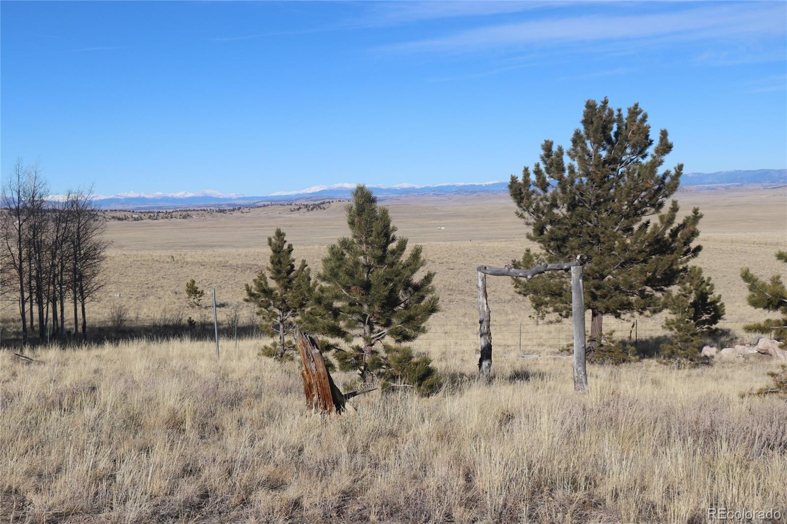 9583 Ranch Road Hartsel, CO 80449 - Photo 17 of 28 Gallery Image 17