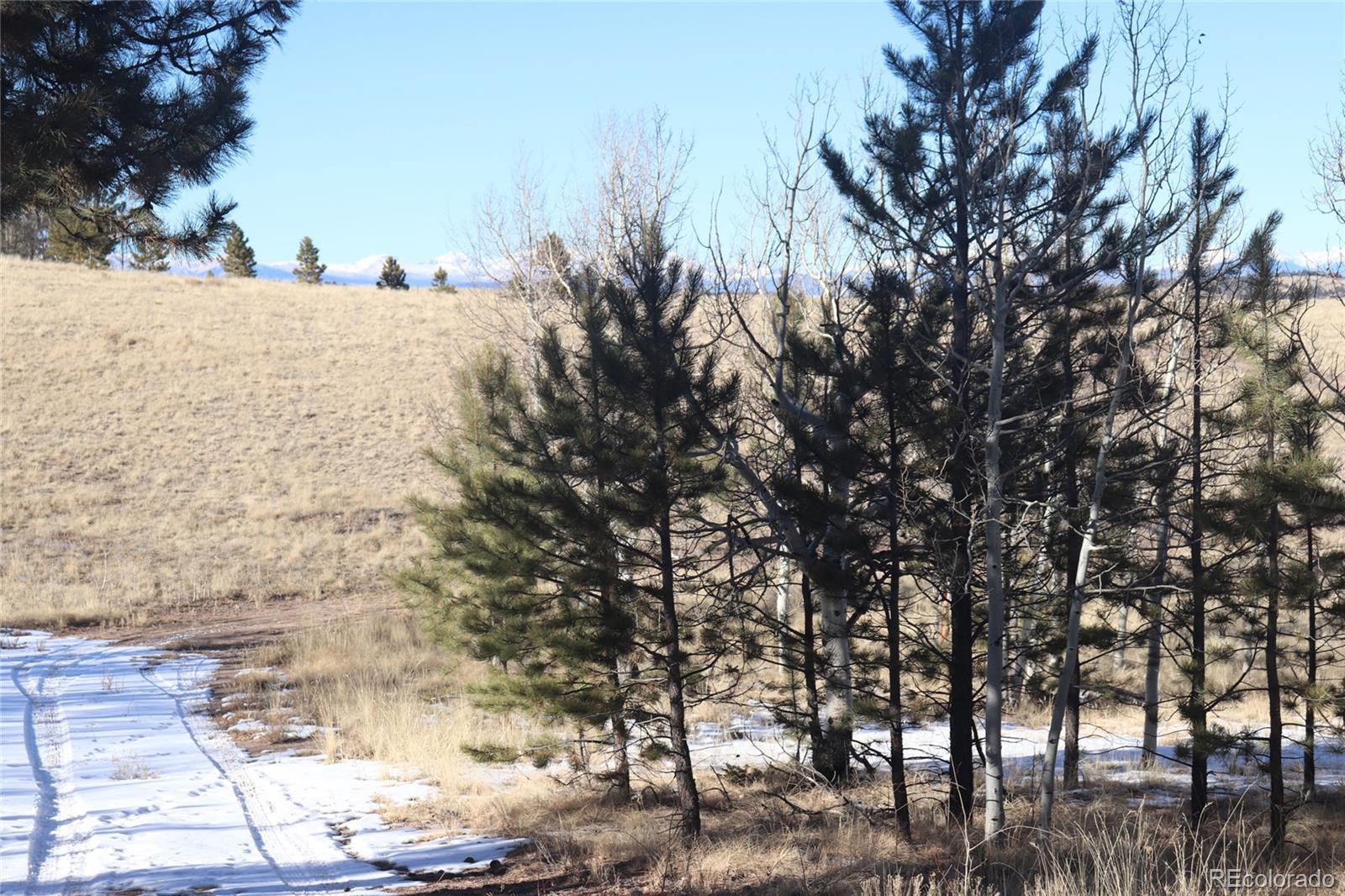 9583 Ranch Road Hartsel, CO 80449 - Photo 18 of 28 Gallery Image 18