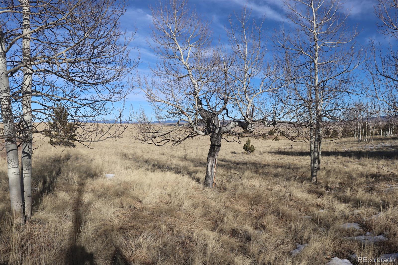 9583 Ranch Road Hartsel, CO 80449 - Photo 19 of 28 Gallery Image 19