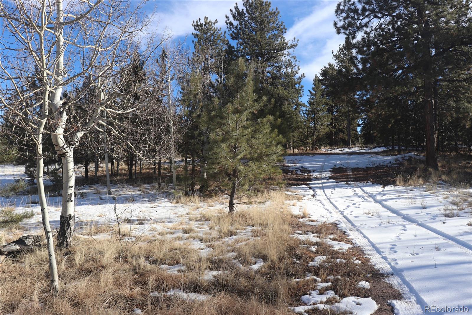 9583 Ranch Road Hartsel, CO 80449 - Photo 20 of 28 Gallery Image 20