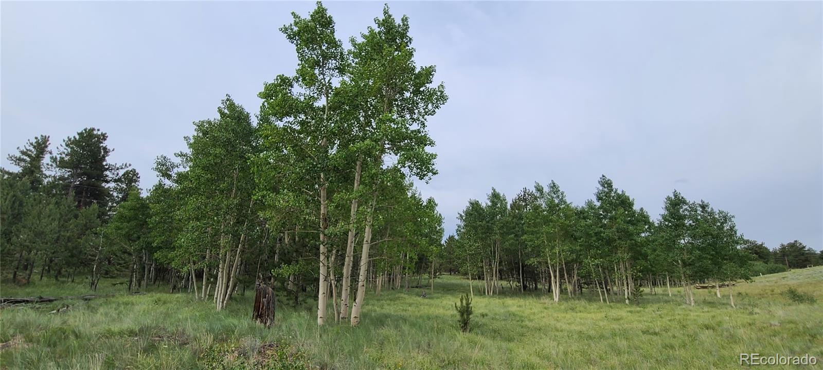9583 Ranch Road Hartsel, CO 80449 - Photo 2 of 28 Gallery Image 2