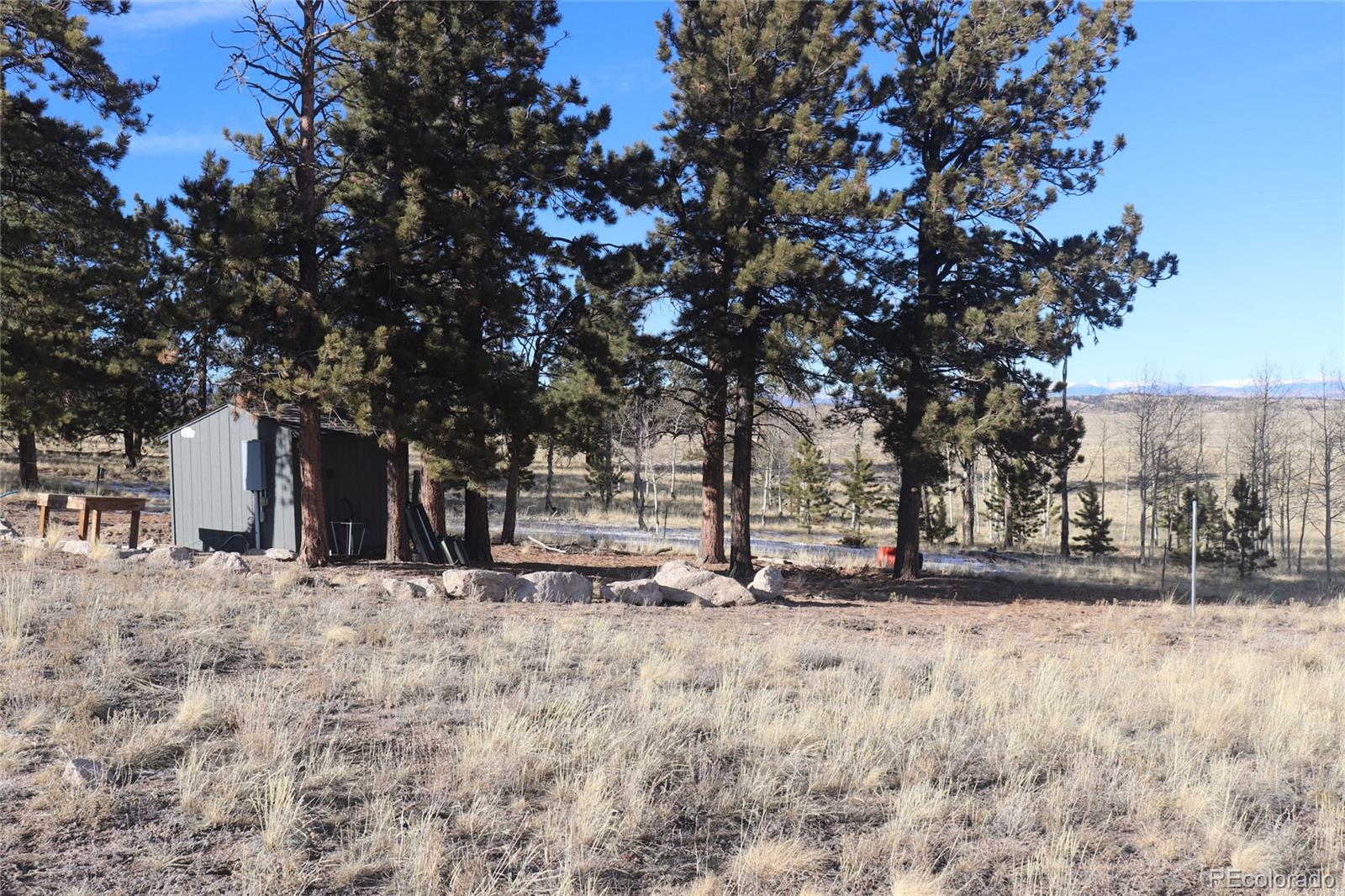 9583 Ranch Road Hartsel, CO 80449 - Photo 28 of 28 Gallery Image 28