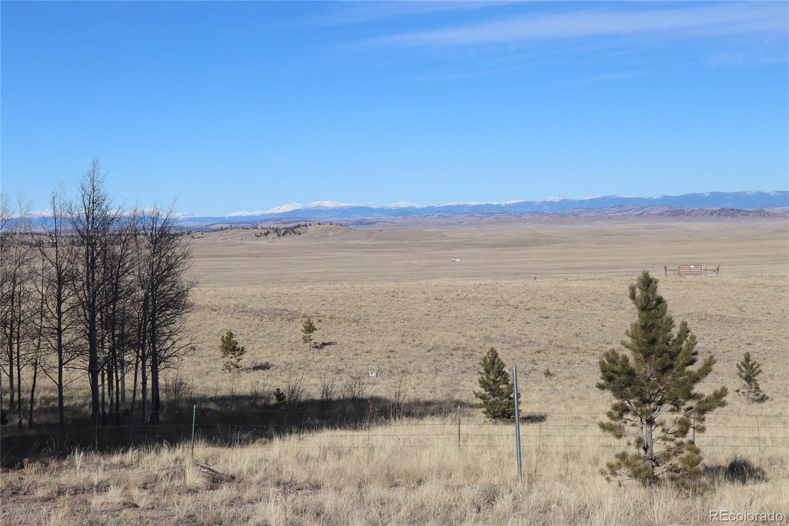 9583 Ranch Road Hartsel, CO 80449 - Photo 7 of 28 Gallery Image 7