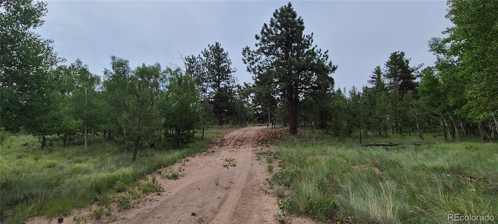 9583 Ranch Road Hartsel, CO 80449 - Photo 9 of 28 Gallery Image 9