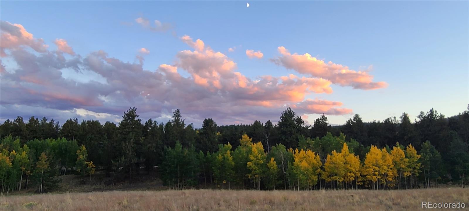9583 Ranch Road Hartsel, CO 80449 - Photo 10 of 28 Gallery Image 10