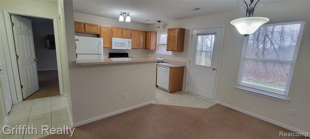 775 Cattail Lane Pinckney, MI 48169 - Photo 3 of 11