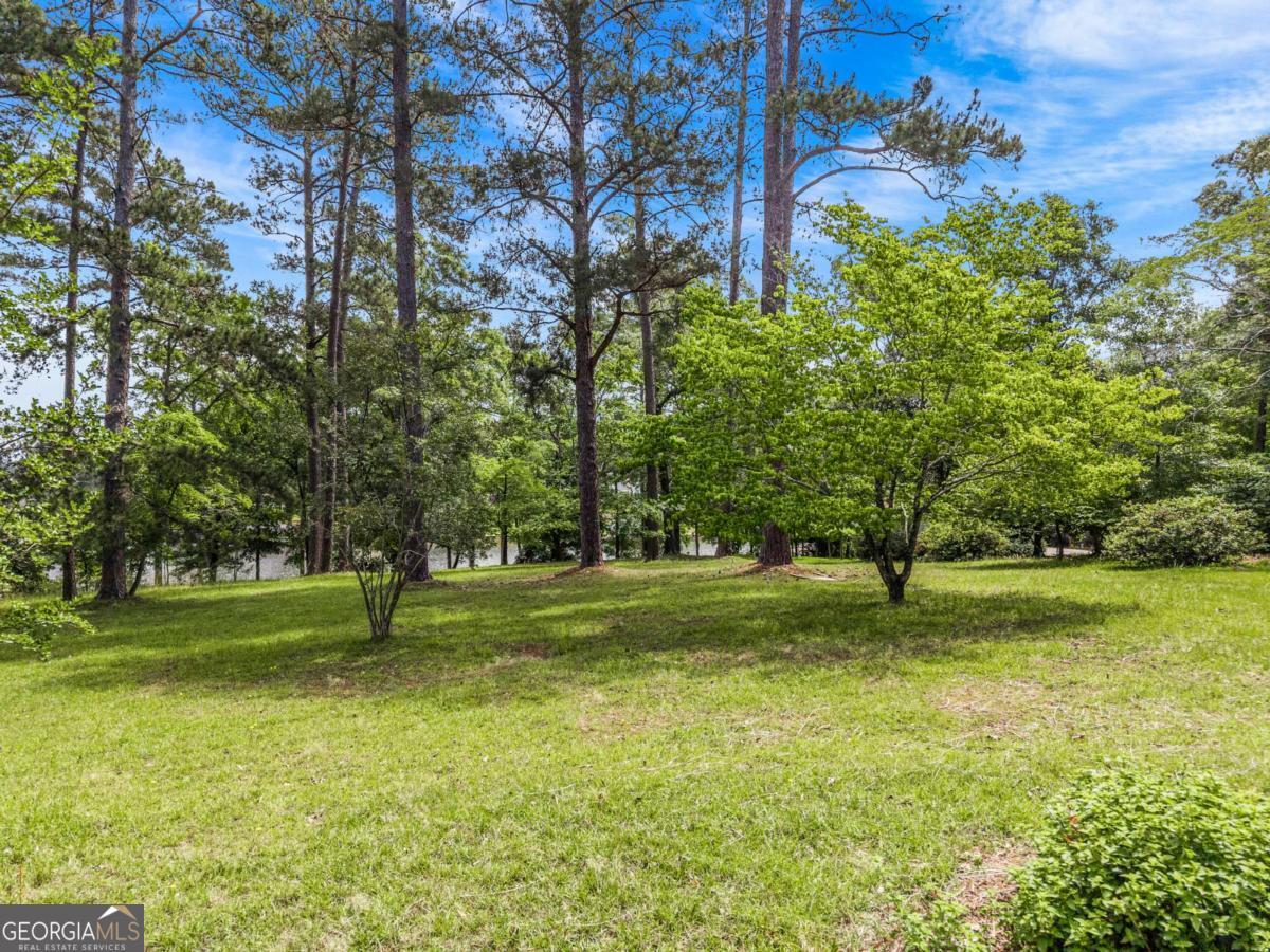 151 Bill Johnson Road Northeast Milledgeville, GA 31061 - Photo 9 of 27 a tall tree in middle of green field