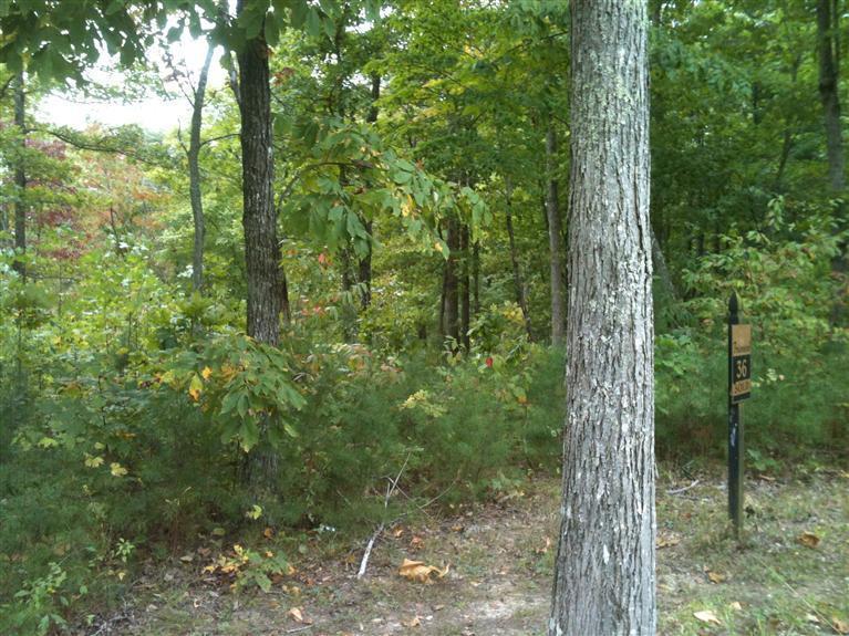 0 Ridge Road Russell Springs, KY 42642 - Photo 5 of 9 Additional Photo