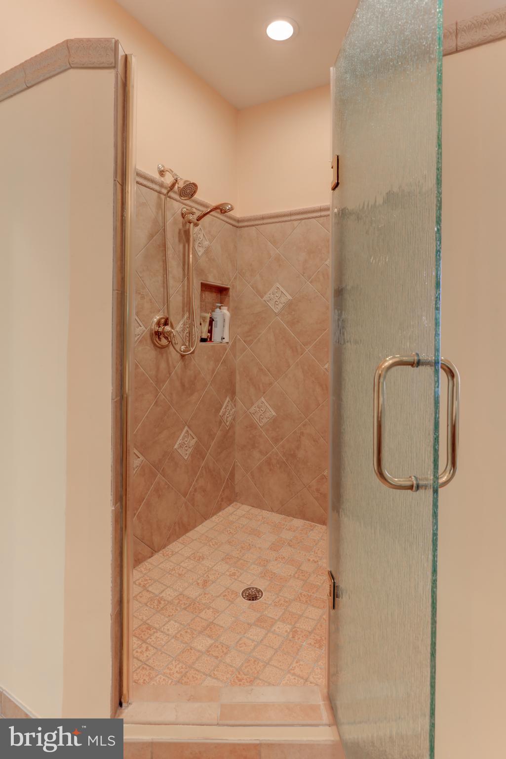 7394 Spring Summit Road Springfield, VA 22150 - Photo 35 of 69 oversized prim bath shower