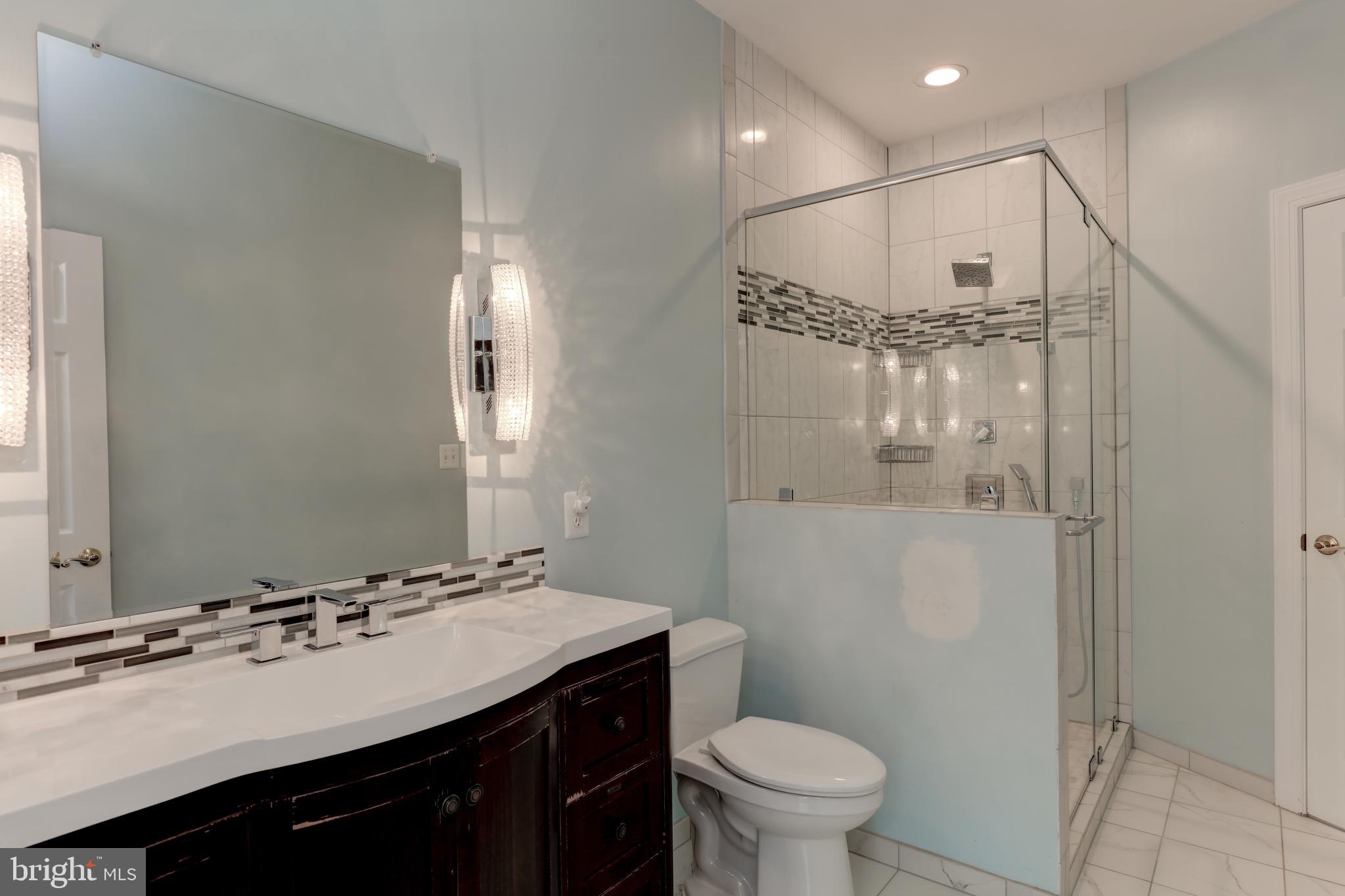 7394 Spring Summit Road Springfield, VA 22150 - Photo 46 of 69 buddy bath