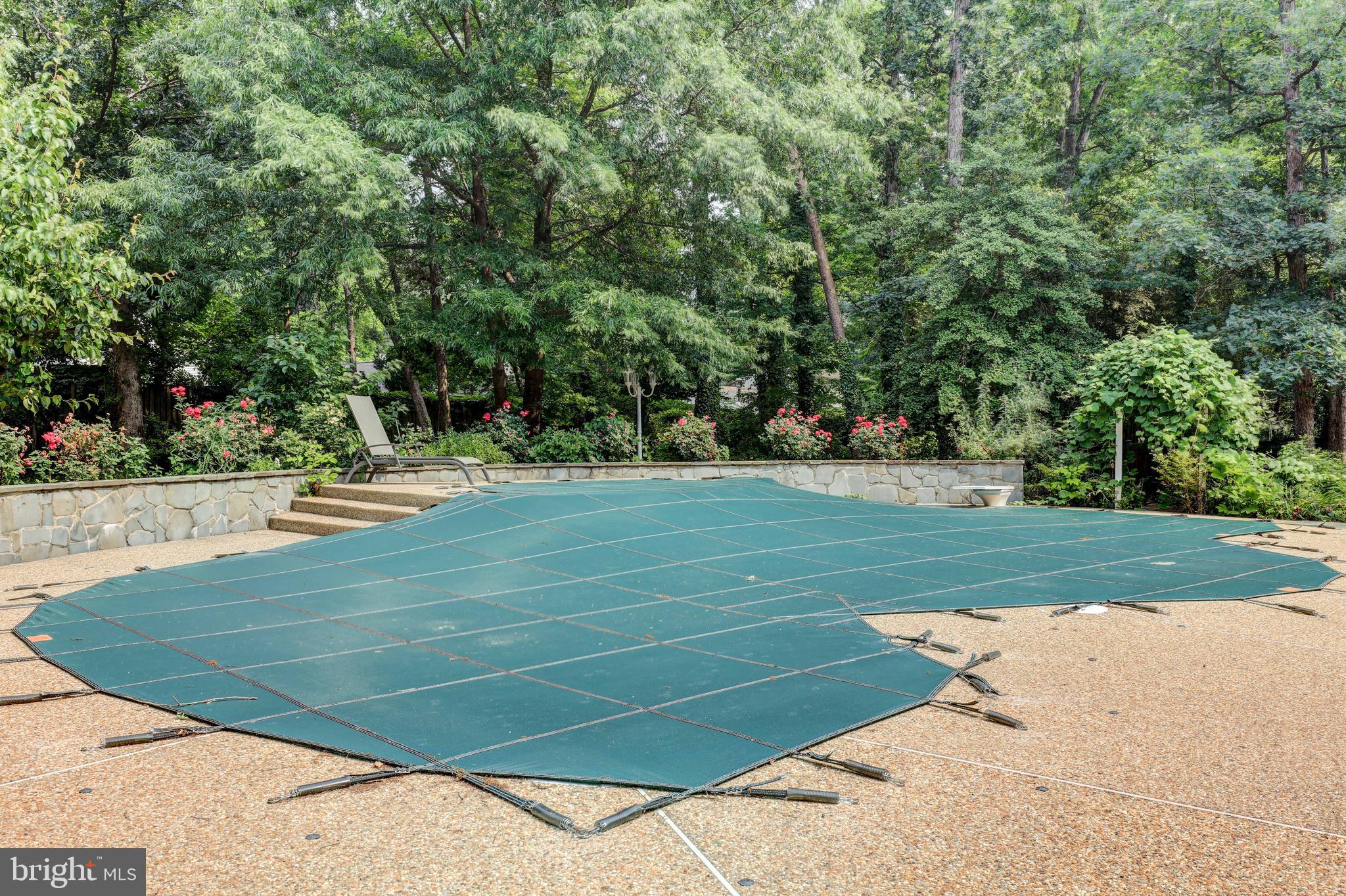 7394 Spring Summit Road Springfield, VA 22150 - Photo 65 of 69 inground pool