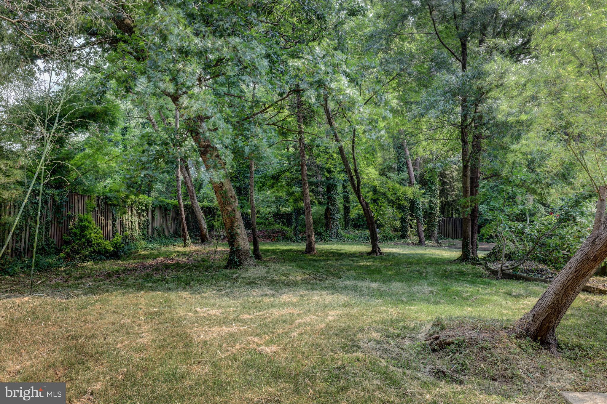 7394 Spring Summit Road Springfield, VA 22150 - Photo 66 of 69 yard