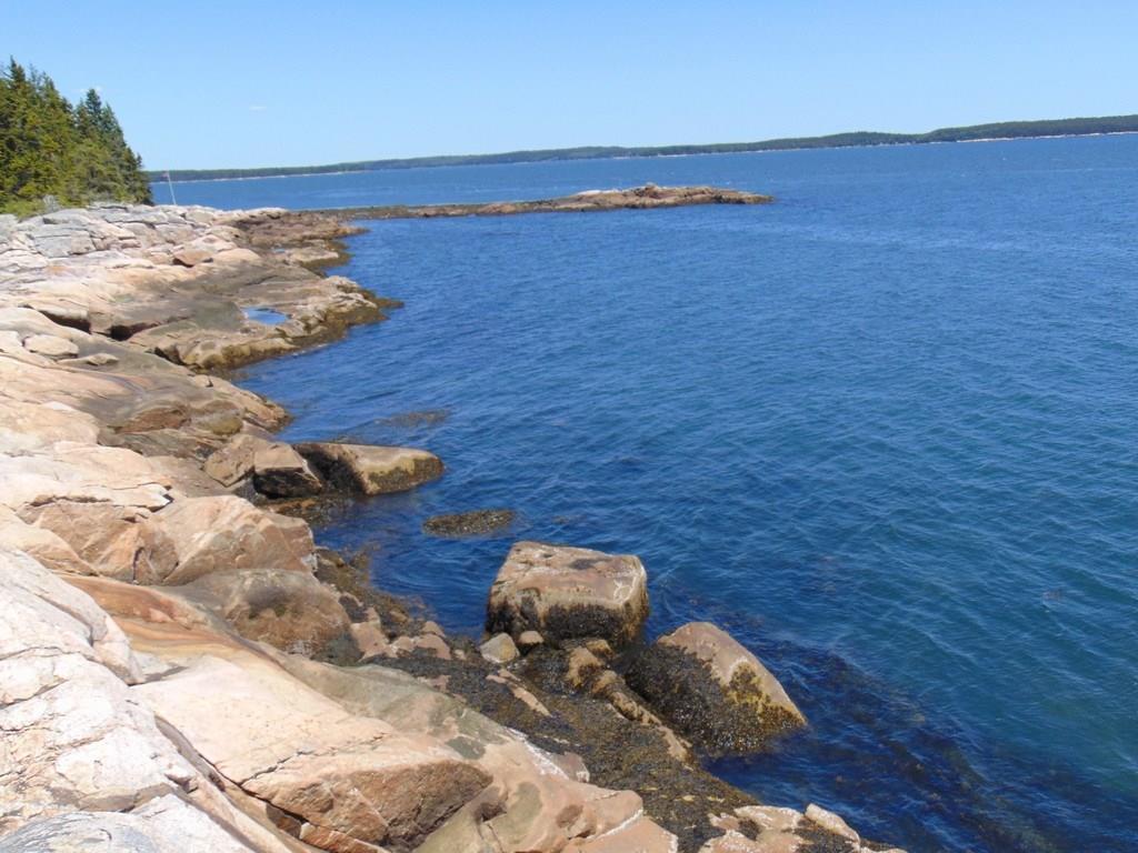 29 Granite Shore Milbridge, ME 04658 - Photo 30 of 35 if you look carefully, you can see...