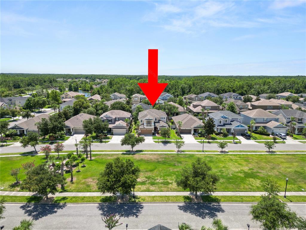 8775 Sentiero Drive Land O Lakes, FL 34637 - Photo 4 of 76