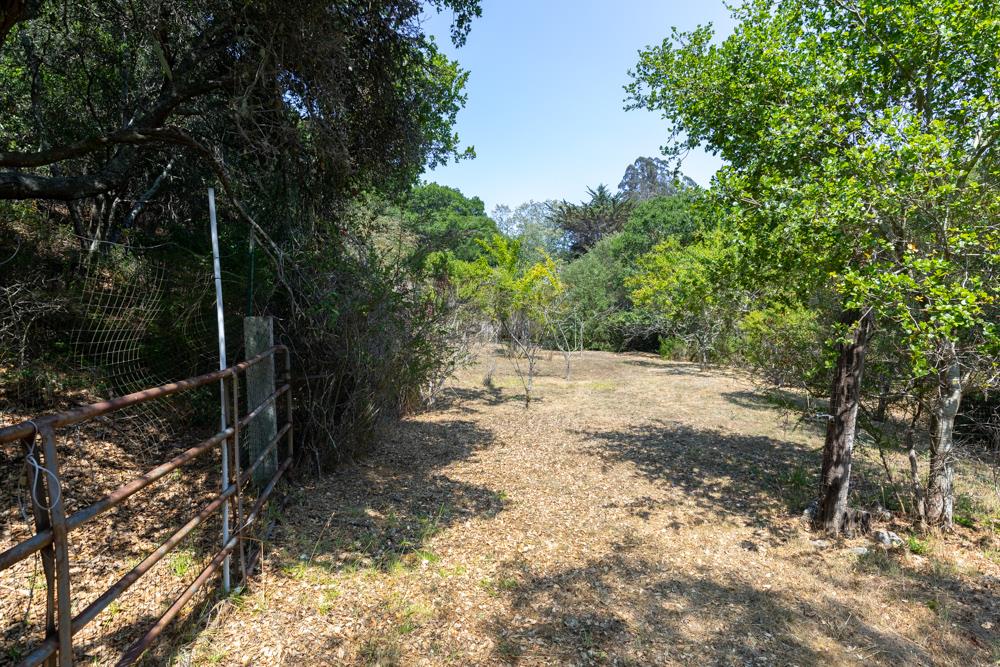 346 White Road Watsonville, CA 95076 - Photo 38 of 40 Gallery Image 38