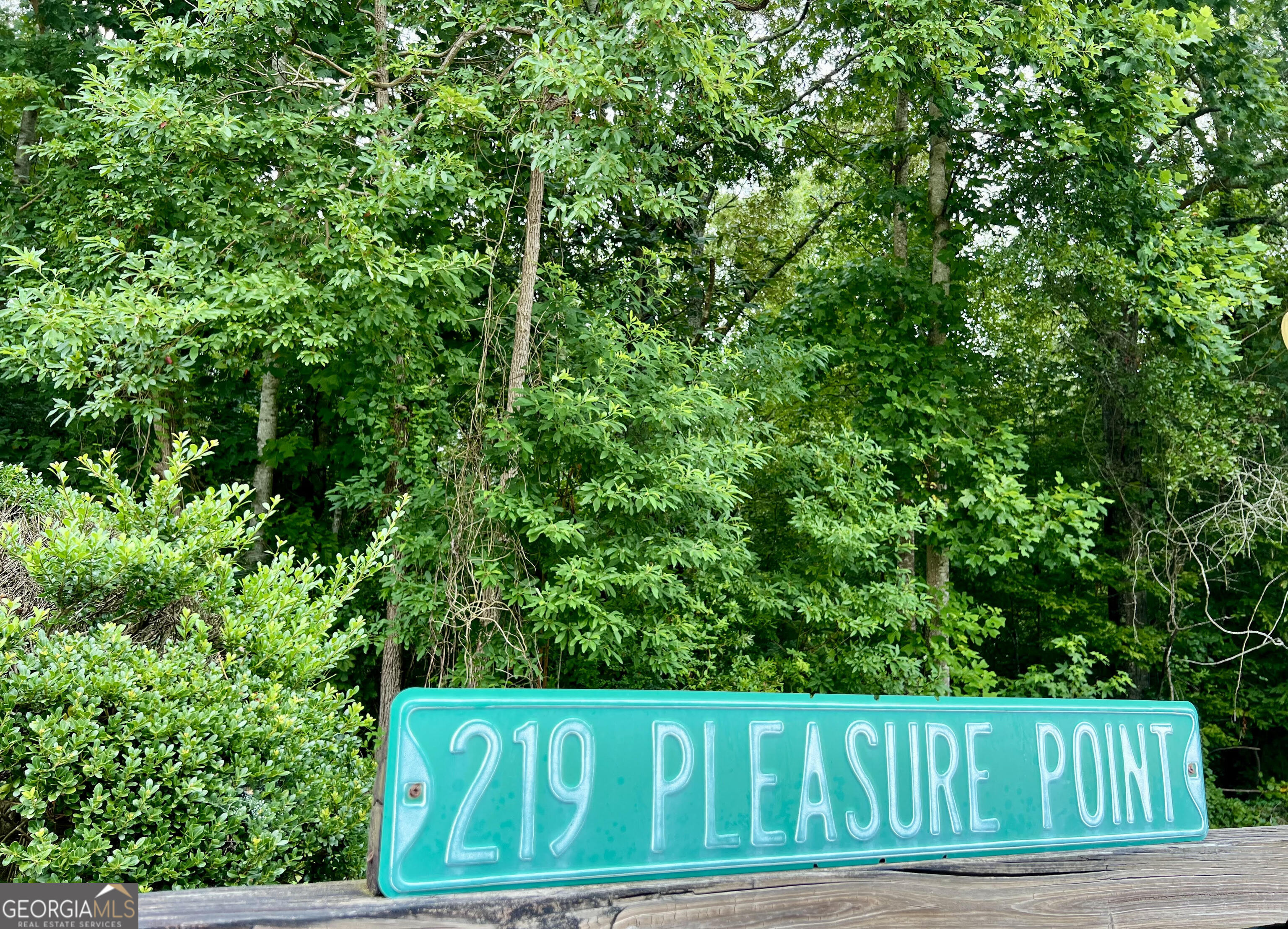 219 Pleasure Point Wedowee, AL 36278 - Photo 71 of 71