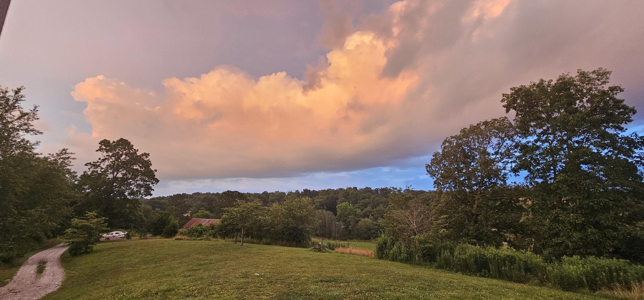 945 Sheehy Road McEwen, TN 37101 - Photo 56 of 74 Gallery Image 56