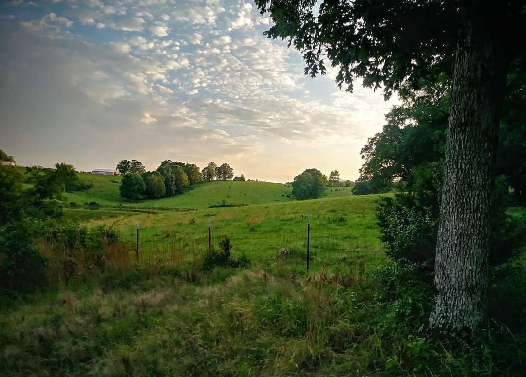 945 Sheehy Road McEwen, TN 37101 - Photo 60 of 74 Gallery Image 60