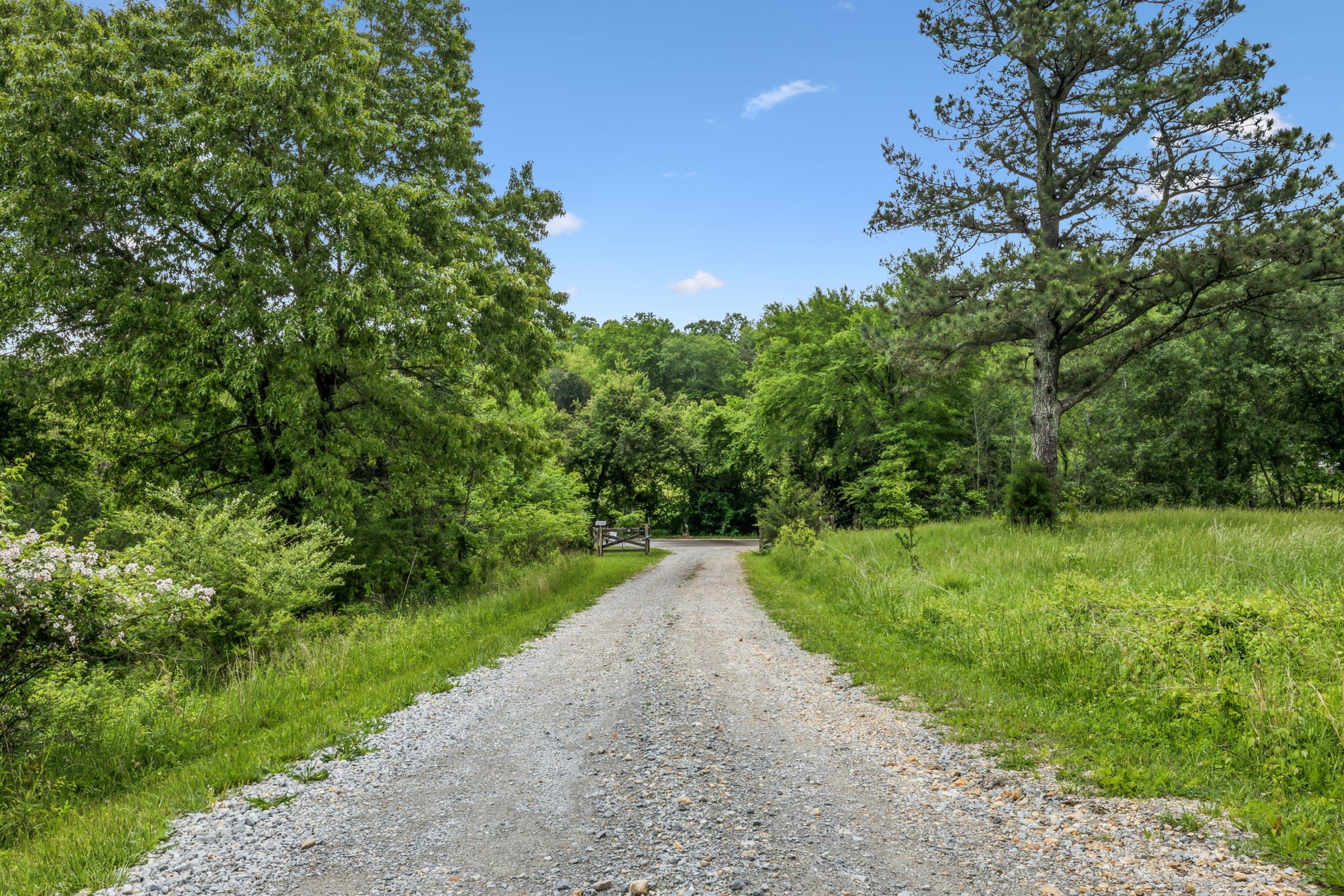945 Sheehy Road McEwen, TN 37101 - Photo 8 of 74 Gallery Image 8